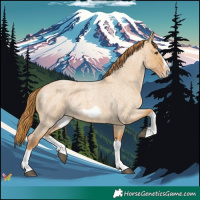 Horse Color:Red Dun Roan Splash Frame Rabicano 