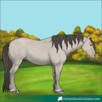 Horse Color:Classic Cream Champagne Dun 
