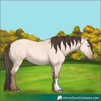 Horse Color:Amber Champagne Dun 