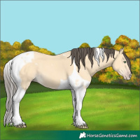 Horse Color:Amber Cream Champagne Tobiano 