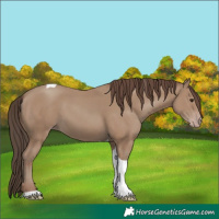 Horse Color:Classic Champagne Tobiano 