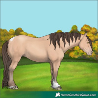 Horse Color:Amber Champagne Tobiano 