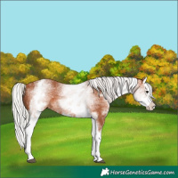 Horse Color:White Spotted Silver Bay Splash 