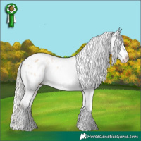 Horse Color:Silver Amber Champagne Pearl Dun Mushroom Tobiano Appaloosa Rabicano and Silver Amber Champagne Dun Tobiano Appaloosa Rabicano