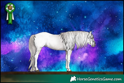 Horse Color:Gray Chestnut Tobiano Snowcap 