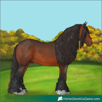 Horse Color:Brown 