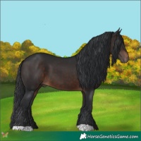 Horse Color:Brown 