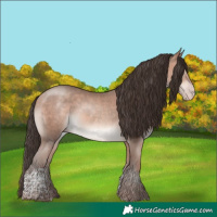 Horse Color:Amber Champagne Mushroom Tobiano Rabicano 