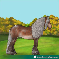 Horse Color:Silver Bay Mushroom Tobiano Rabicano 