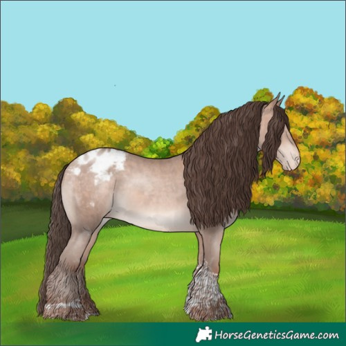 Horse Color:Amber Champagne Mushroom Tobiano Blanket Rabicano