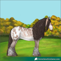 Horse Color:Amber Champagne Mushroom Tobiano Near Leopard Rabicano 