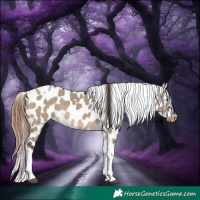 Horse Color:Bay Dun Tobiano Near Leopard Rabicano 