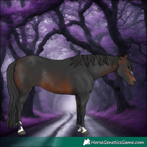 Horse Color:Brown Rabicano 