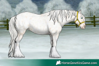 Horse Color:Silver Amber Champagne Pearl Dun Tobiano Appaloosa Rabicano and Silver Amber Champagne Pearl Dun Tobiano Appaloosa Rabicano