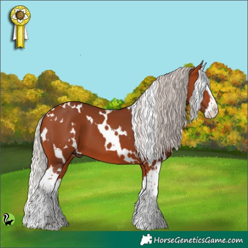 Horse Color:White Spotted Silver Bay Splash 