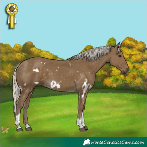 Horse Color:White Spotted Silver Smoky Black Tobiano 