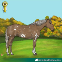 Horse Color:White Spotted Silver Smoky Black Tobiano 