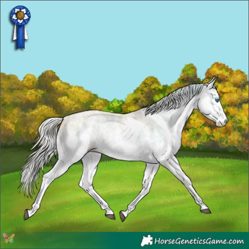 Horse Color:Silver Smoky Black Pearl Sabino Splash Rabicano