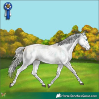 Horse Color:Silver Smoky Black Pearl Sabino Splash Rabicano 