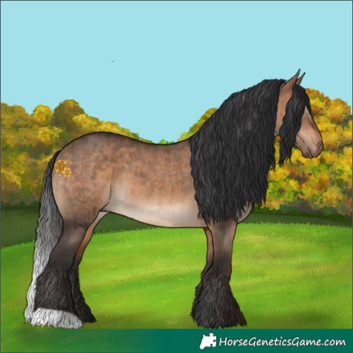 Horse Color:Bay Dun Brindle 