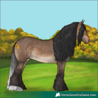 Horse Color:Bay Dun Brindle 
