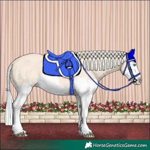 Horse Color:Cremello Splash  and Cremello Splash 