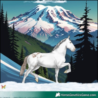 Horse Color:Chestnut Sabino Splash Appaloosa 