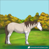 Horse Color:Classic Champagne Dun Splash