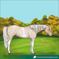 Horse Color:Silver Blue Roan Pearl Tobiano Frame 