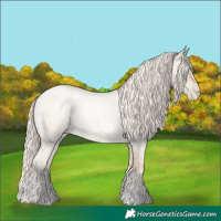 Horse Color:Gold Cream Champagne Roan Pearl 