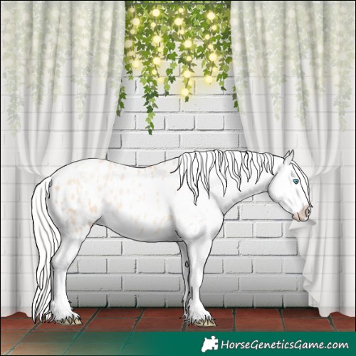Horse Color:Silver Amber Champagne Pearl Dun Tobiano Appaloosa Rabicano  and Silver Amber Champagne Pearl Dun Tobiano Appaloosa Rabicano 