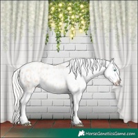 Horse Color:Silver Amber Champagne Pearl Dun Tobiano Appaloosa Rabicano  and Silver Amber Champagne Pearl Dun Tobiano Appaloosa Rabicano 