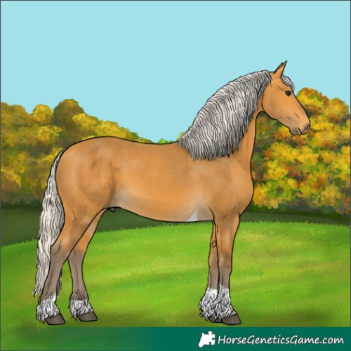 Horse Color:Silver Buckskin Tobiano 