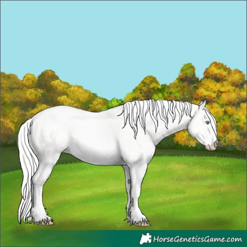 Horse Color:Cremello Dun 