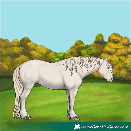 Horse Color:Smoky Creme Roan