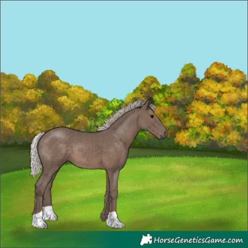 Horse Color:Silver Black 