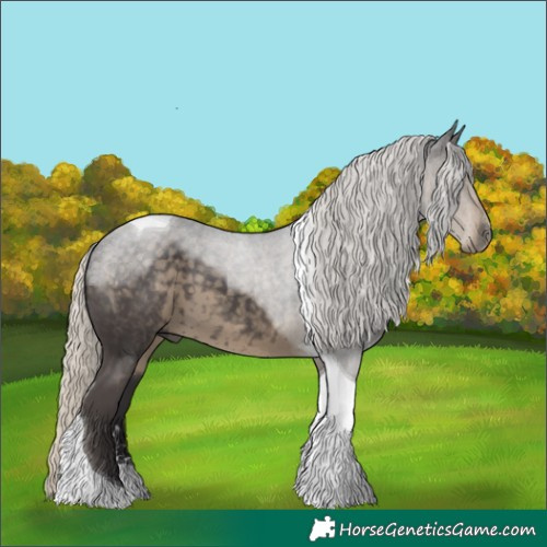 Horse Color:Silver Smoky Black Sabino Tobiano 