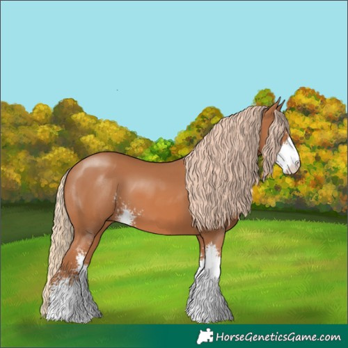 Horse Color:Chestnut Sabino 