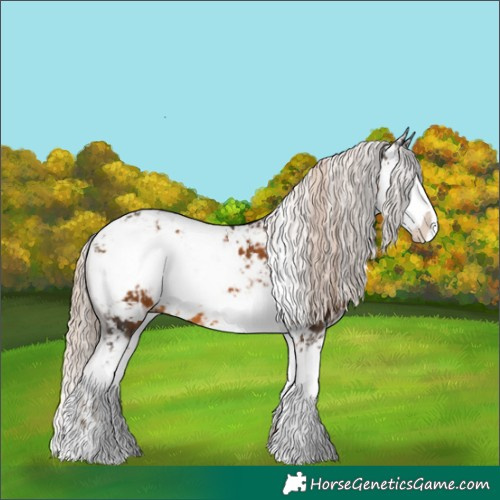Horse Color:Chocolate Palomino Sabino 