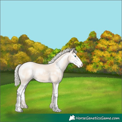 Horse Color:Cremello Sabino 