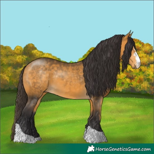 Horse Color:Buckskin Sabino Tobiano 