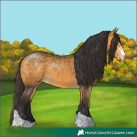 Horse Color:Buckskin Sabino Tobiano