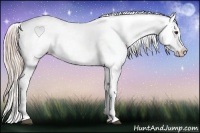 Horse Color:Palomino Tobiano Blanket 