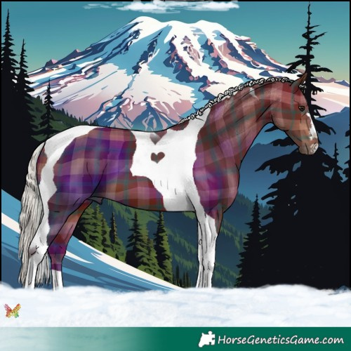 Horse Color:Plaid  Silver Brown Tobiano 