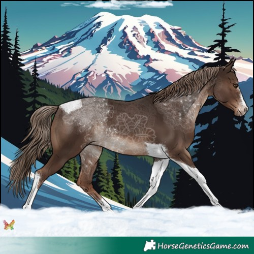 Horse Color:Liver Chestnut Tobiano 