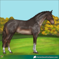 Horse Color:Liver Chestnut Tobiano 