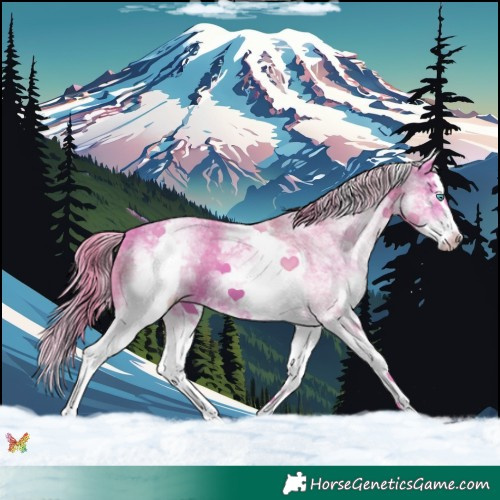 Horse Color:Watercolor White Spotted Chestnut Splash 