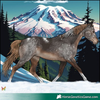 Horse Color:Liver Chestnut Tobiano 