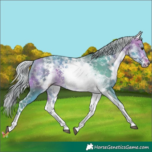 Horse Color:Watercolor White Spotted Silver Buckskin