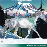 Horse Color:Watercolor White Spotted Silver Buckskin 